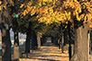 Quay on the Nišava in Pirot (photo: Dragan Bosnić)